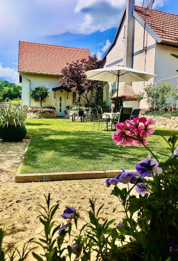 Holiday House Apartments Dajcic Varazdinske Toplice Eksteriør billede