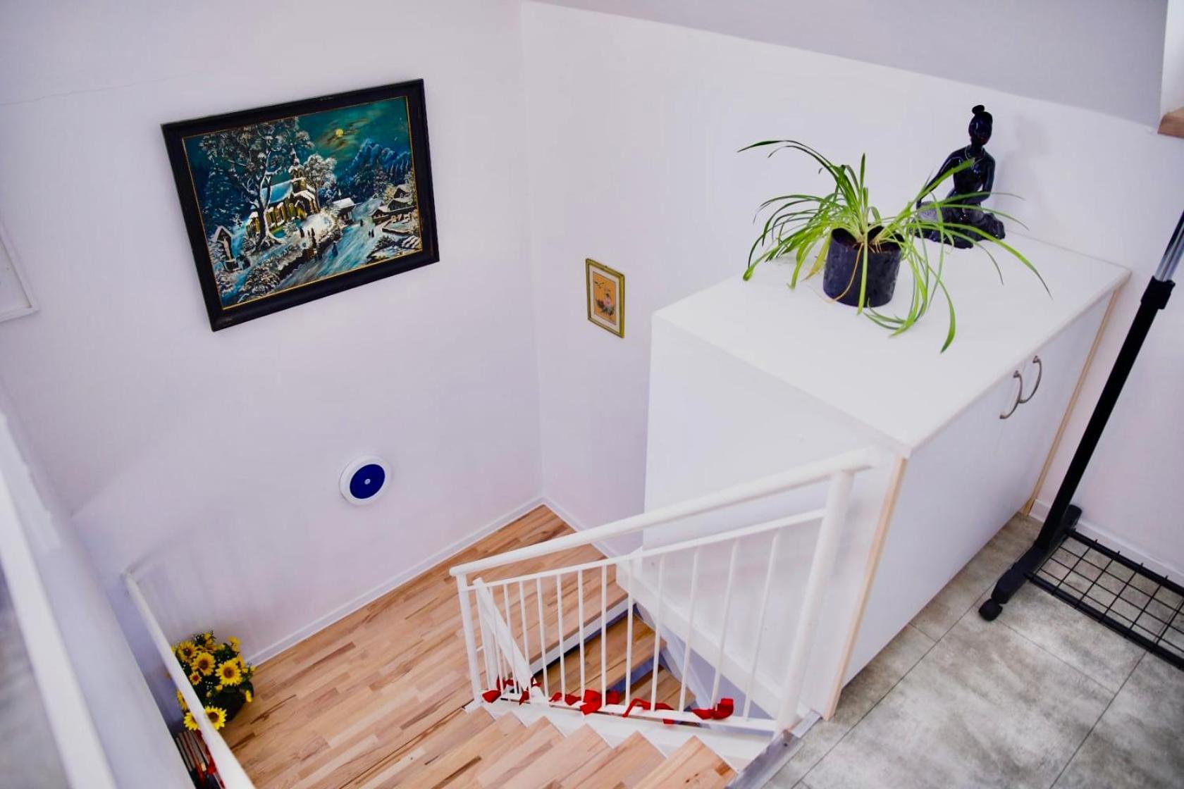 Holiday House Apartments Dajcic Varazdinske Toplice Eksteriør billede